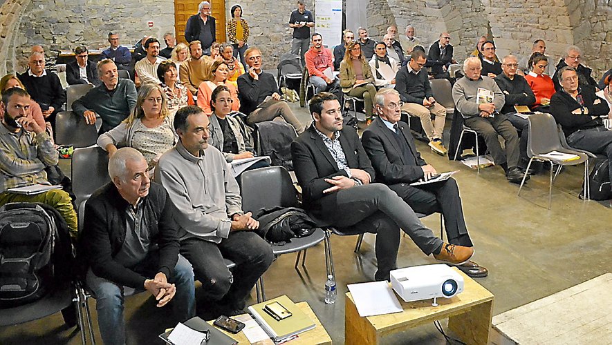 Plus de 50 acteurs de la filière bois énergie ont débattu lors de la journée régionale au Caveau.