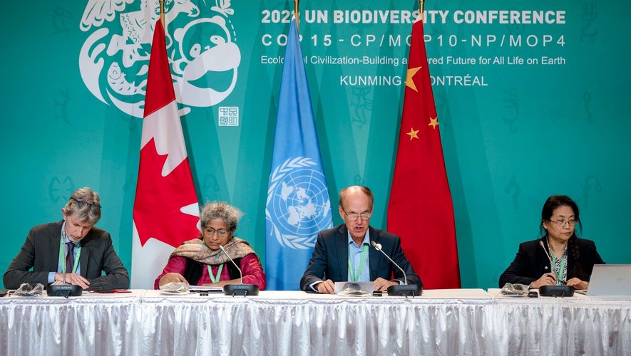 Ce "pacte de paix avec la nature" appelé "accord de Kunming-Montréal" vise à protéger les terres, les océans et les espèces de la pollution, de la dégradation et de la crise climatique.