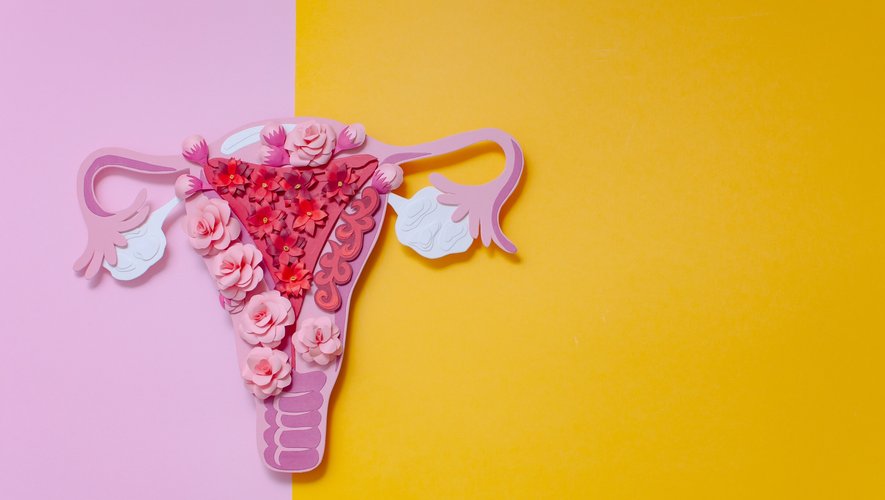 Des scientifiques américains ont reconstitué un microbiome vaginal en laboratoire, à partir de cellules vaginales vivantes.