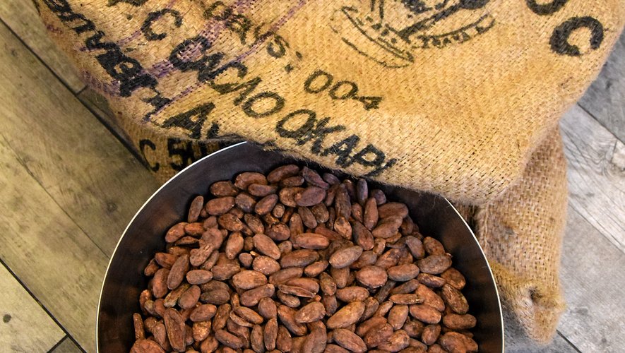 Du chocolat fabriqué à partir de fèves de cacao d’excellente qualité olfactive et nutritionnelle.