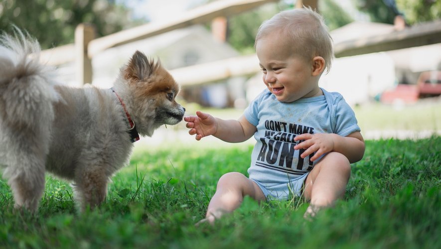 La présence d’un animal de compagnie motive l’enfant à vouloir interagir avec lui, ce qui favorise son développement moteur, cognitif et prosocial.