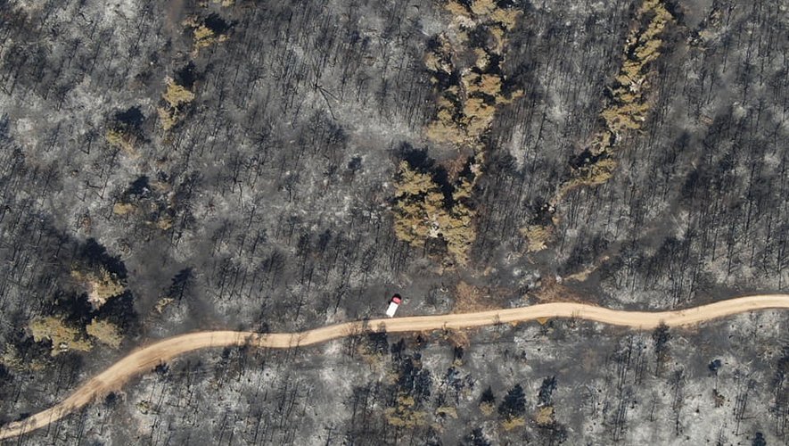 Cet été, l’incendie de Mostuéjouls a détruit plus de 1 300 ha.
