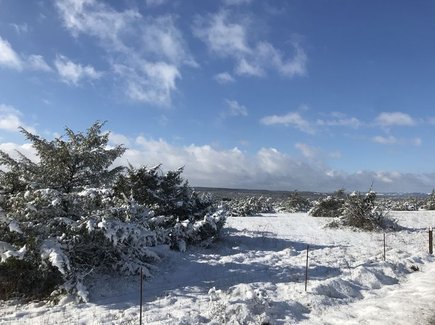 Sébazac-Concourès sous la neige.