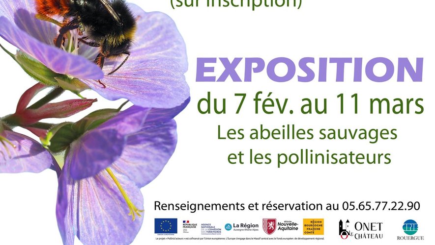 "Préservation des pollinisateurs", de la découverte à l’action à la médiathèque