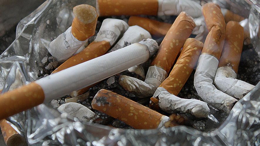 Tabac : Vente annuelle et prix annuel moyen du paquet de cigarettes et  paquet de tabac à rouler de la marque la plus vendue - OFDT
