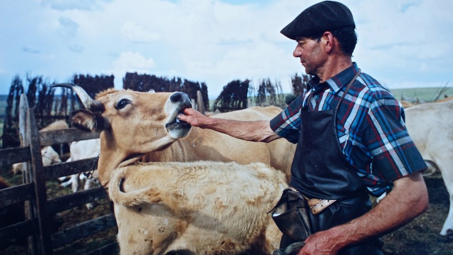 Jean Fournier donne du sel à la vache comme il s’est nourri du sel de la vie, en toute simplicité, cellede buronnier sur l’Aubrac.