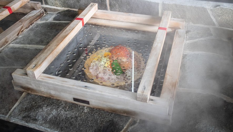 Avec des vapeurs de 100-110 degrés Celsius, la cuisson ne prend généralement que "cinq à dix minutes", permettant aux aliments de "garder toutes leurs couleurs" d'origine.