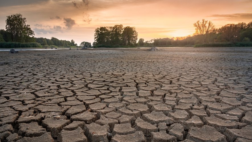 Toujours pas de pluie en vue: Le canton s'achemine vers une sécheresse  record