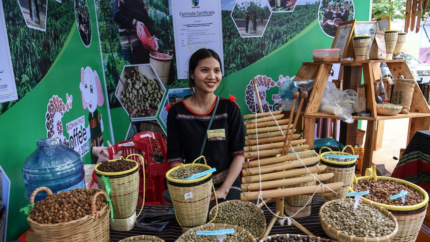 Le robusta peut avoir mauvaise réputation, mais au Vietnam, un groupe d'agriculteurs s'est mis en tête de lui donner ses lettres de noblesse