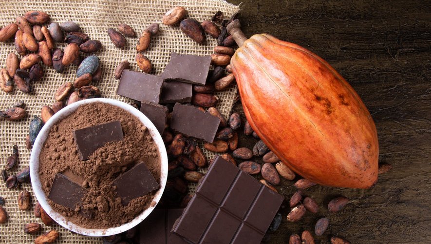 De l'avoine, du lait de riz, de la noix de coco, sinon de l'eau, il existe tout un tas de substituts pour produire du chocolat végétal.