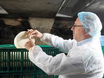 Une cave emblématique de la production de roquefort.