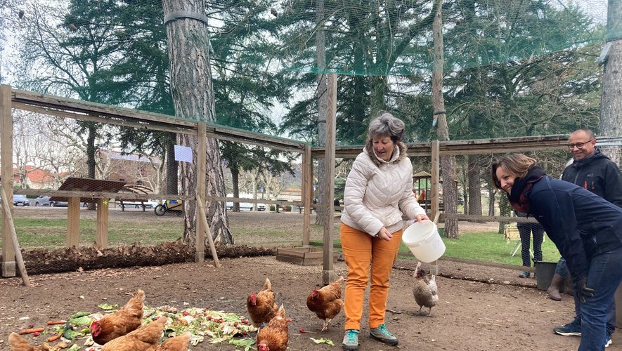 10 familles nourrissent les 9 poules du parc de la Victoire.