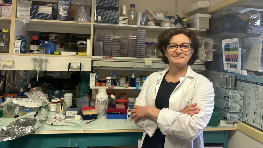 Dans son labo montpelliérain, Rachel Cerdan poursuit ses recherches sur le parasite du paludisme.