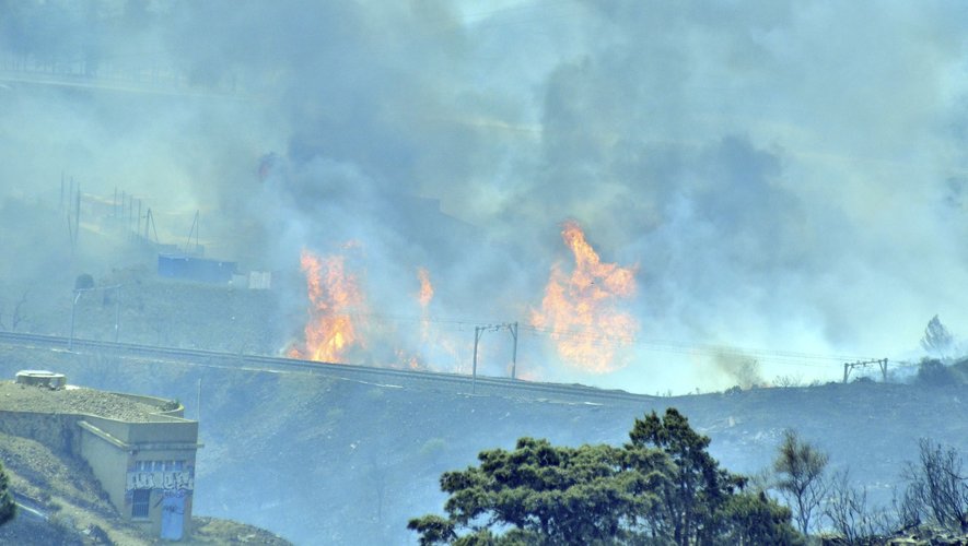 Selon un dernier bilan des sapeurs-pompiers, l'incendie, le plus important depuis le début de l'année en France, a ravagé 950 hectares dimanche 16 avril,