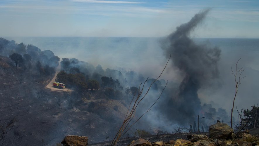 930 hectares de végétation sont partis en fumée au niveau de Cerbère.