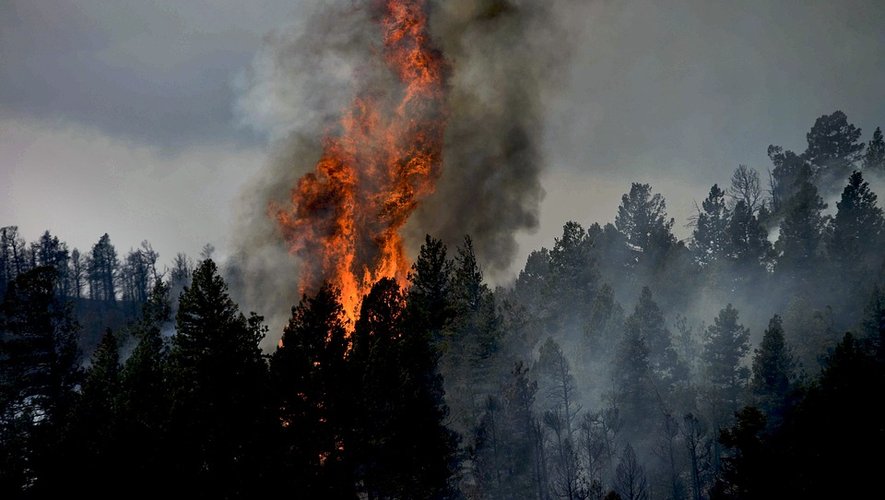 Les forêts d’Europe ont brûlé comme jamais depuis quinze ans, vingt ans s’agissant de la France.