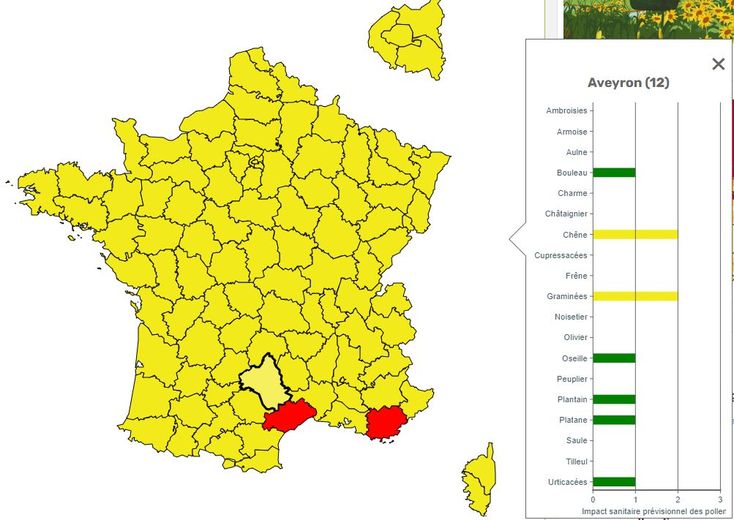 Plusieurs pollens sont surveillés de près en Aveyron. Le chêne, les graminées, mais pas que !