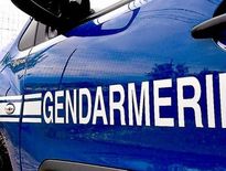 Ce sont les gendarmes qui ont interpellé un adolescent de 15 ans, à Rambervillers.