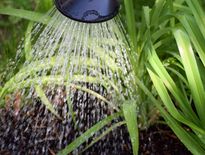 De nombreux départements sont déjà soumis à des restrictions d'usage de l'eau.
