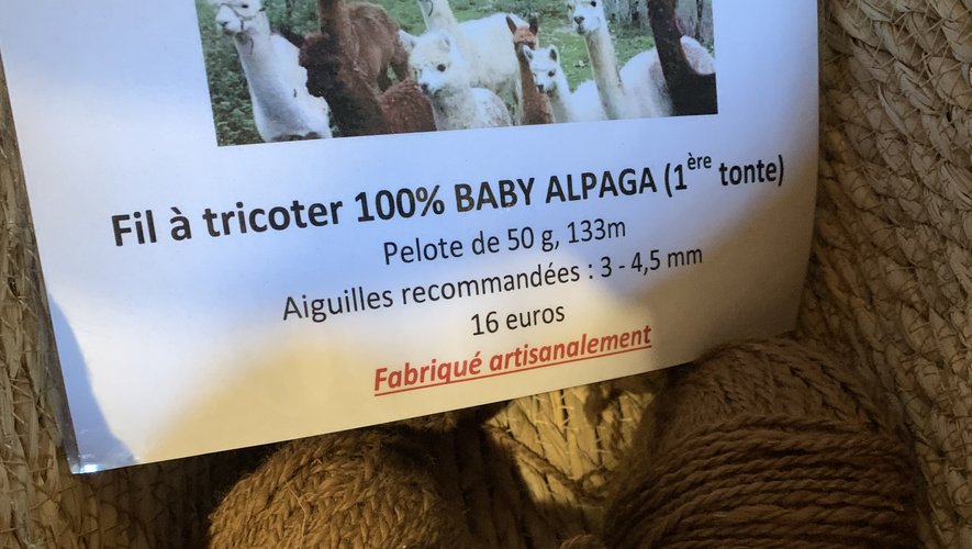 La laine des bébés alpaga permet d'avoir du fil à tricoter de très haute qualité.