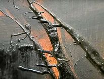 Des coulures qui peuvent atteindre quelques centimètres de longueur.