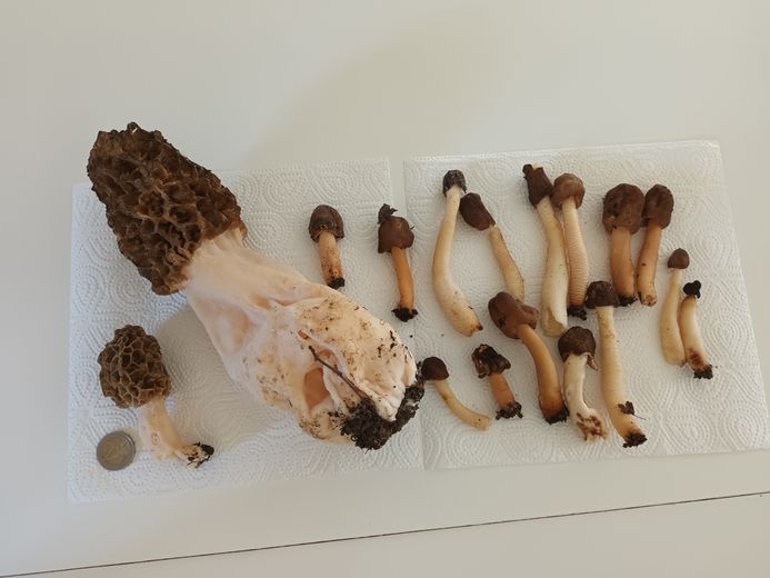 Alors que la saison touche à sa fin.