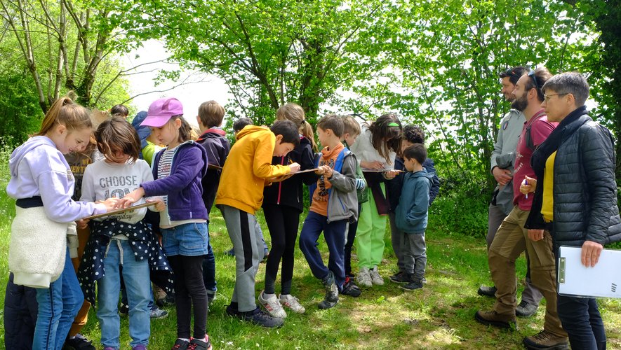 Les écoliers cherchent et notent leurs observations sur le hérisson.