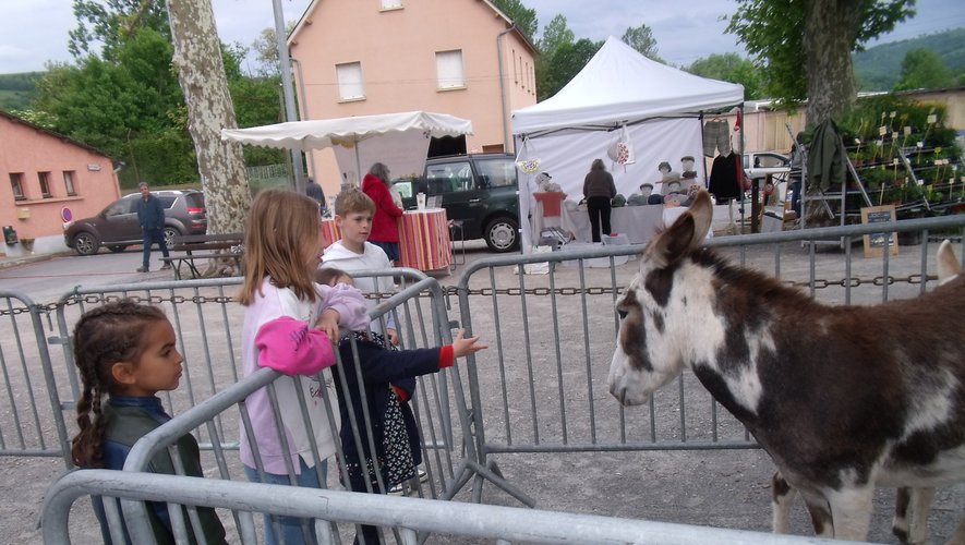 Un geste tendre des enfants.