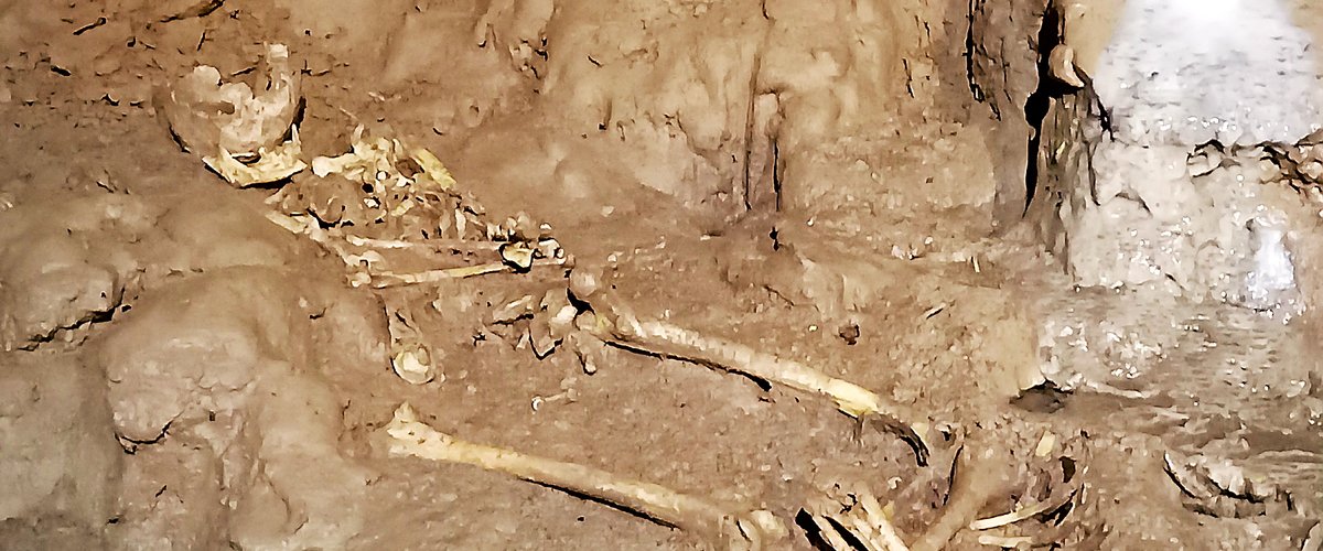 Aveyron : des squelettes du néolithique de la grotte de Foissac intéressent les chercheurs