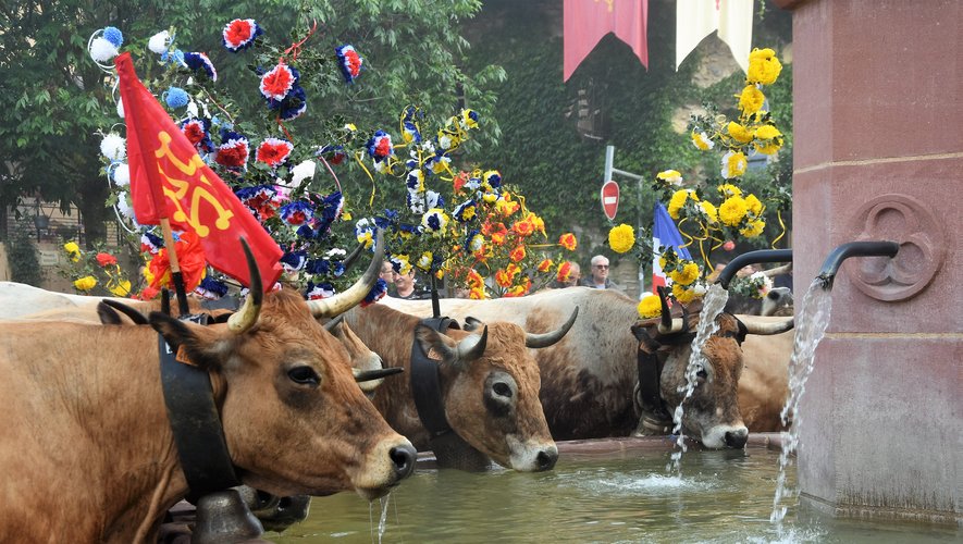 Un beau village étape de la transhumance