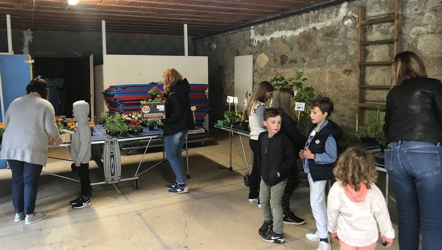 Un large choix de plants et de fleurs proposé par les parents d’élèves.