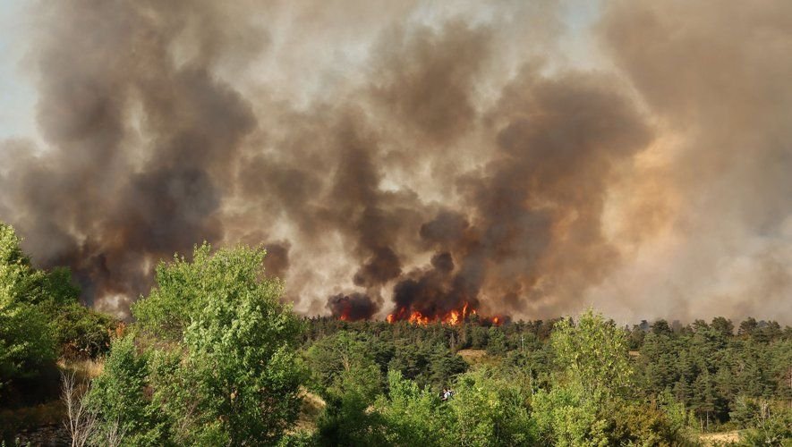 21 000 hectares ont déjà brûlé cette année dans l'Hexagone entre le 1er janvier et le 21 mai dernier.