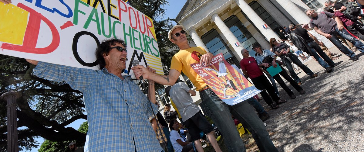 Plusieurs dizaines de personnes se sont retrouvées devant le tribunal pour soutenir les Faucheurs volontaires qui comparaissaient ce mercredi 7 juin..