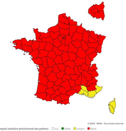 Quasiment toute la France est en risque allergie élevé, essentiellement à cause des pollens de graminées.