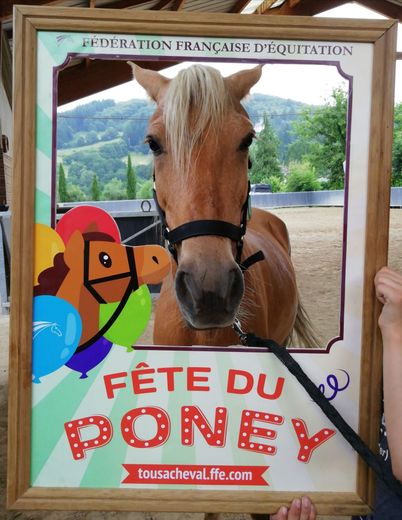 Le poney Ebeno élu par les cavaliers "Plus beau poney du club 2023".