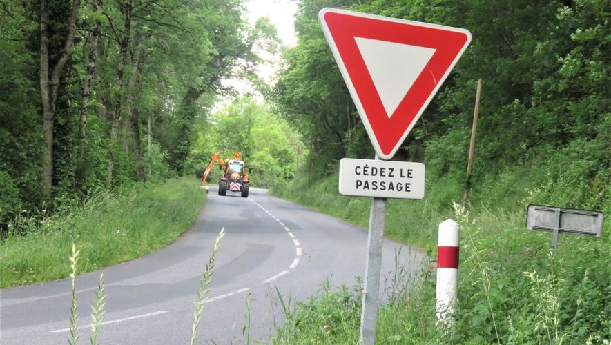 La végétation a pris de l’ampleur.