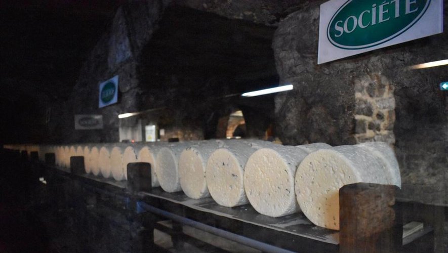 Les maîtres affineurs veillent sur leurs fromages dansdes caves entre 8 et 10 °C.