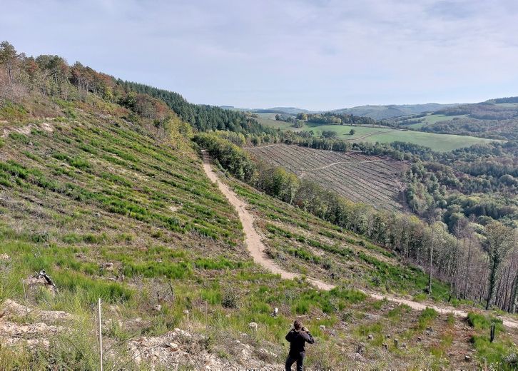 Sur le plan forestier, l’acquisition de forêts et l’aide à la reforestation sont les deux piliers qui guident l’action de la banque.