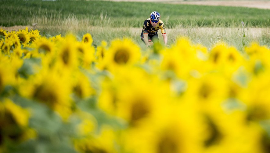 Wout Van Aert et les coureurs du Tour de France sont de nouveau attendus en piste, ce mardi 11 juillet 2023 !
