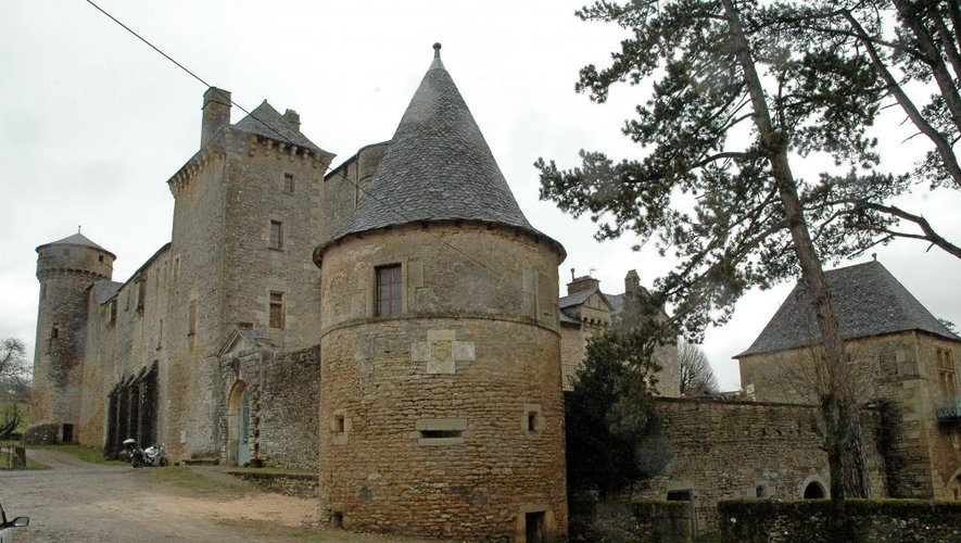 Le château des Bourines, sur la commune de Bertholène.