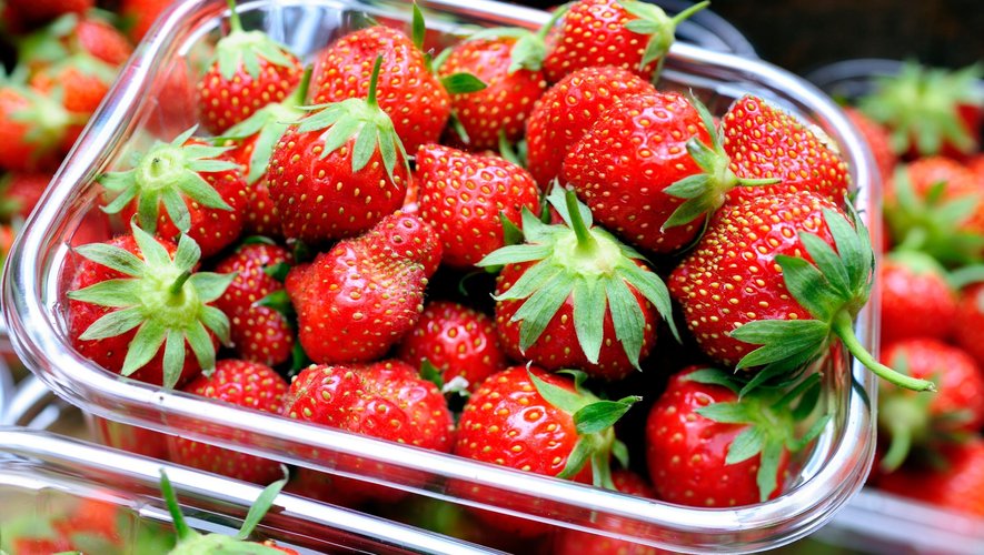 On peut améliorer la qualité des fraises lorsqu'elles doivent être conservées avant achat en repensant les barquettes et les colis.