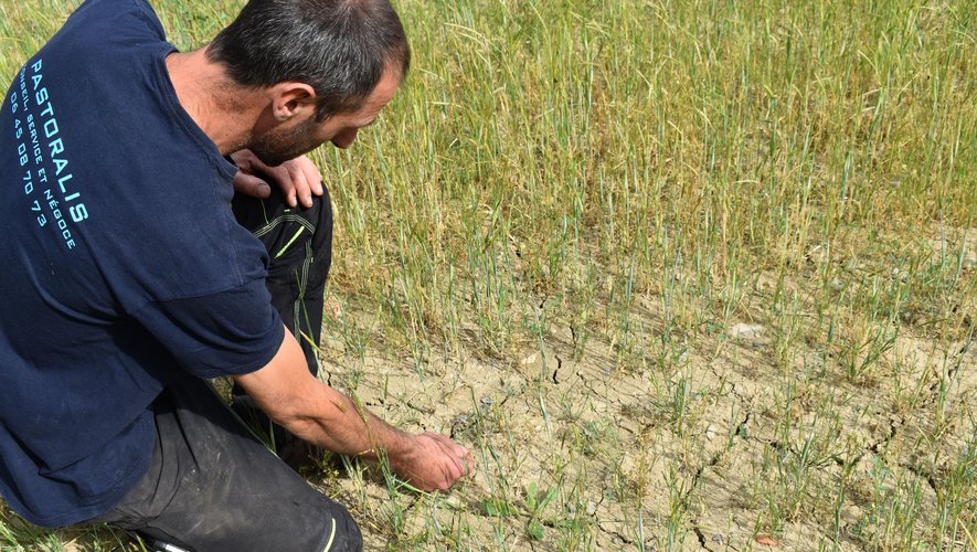 Le manque d'eau était bien visible sur les sols des exploitants agricoles, l'année dernière, dans l'Aveyron.