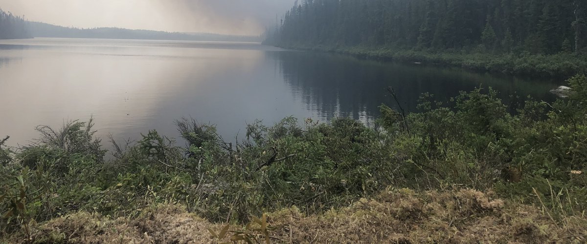 Les lacs et les rivières permettent d'avoir de l'eau en permanence.