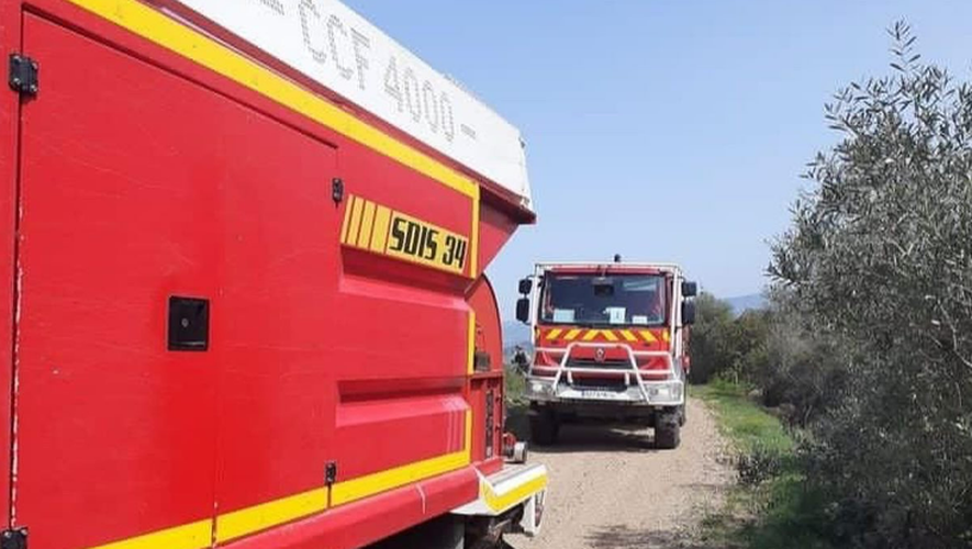 Un nouvel incendie est en cours dans l'Hérault, 250 pompiers ont été envoyés sur place.