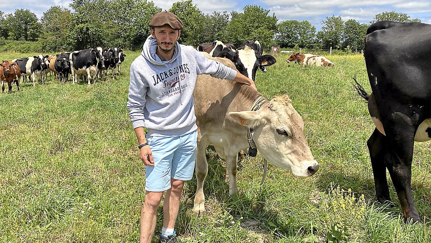 Sébastien Gisquet avec son troupeau de races mélangées, dans ses pâtures naturelles près de Pont-de-Salars.Rien que de l’herbe et une agriculture raisonnée pour la qualité du lait de ses vaches.
