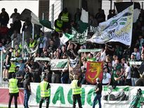 Les Verts seront environ 350 dans le parcage, samedi.