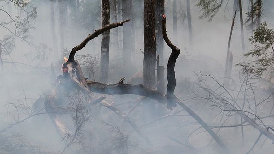 Le risque de feux de forêt est encore présent dans le sud de la France, ce 13 août 2023.