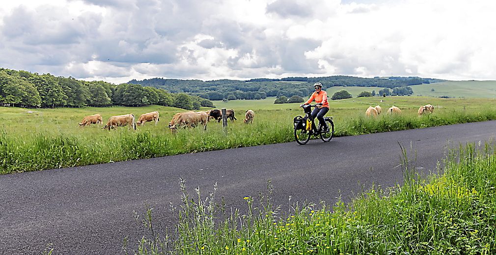 La route cyclo touristique vélo et fromages.