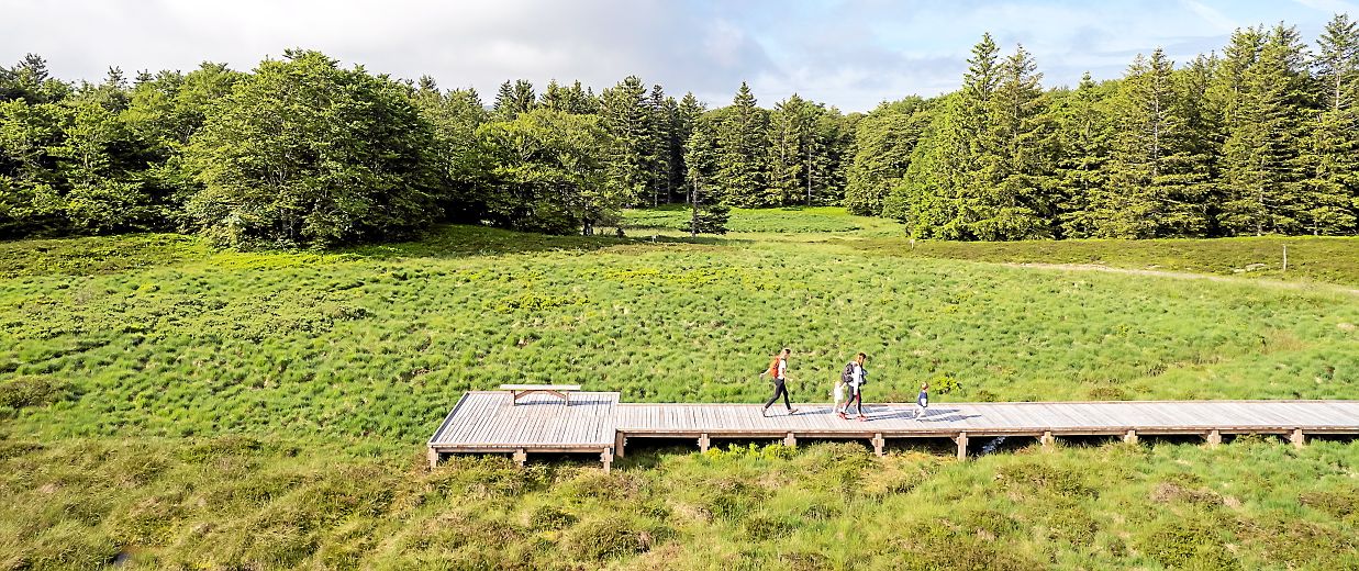 Le sentier d’observation écologique et botanique du bois de Laguiole.