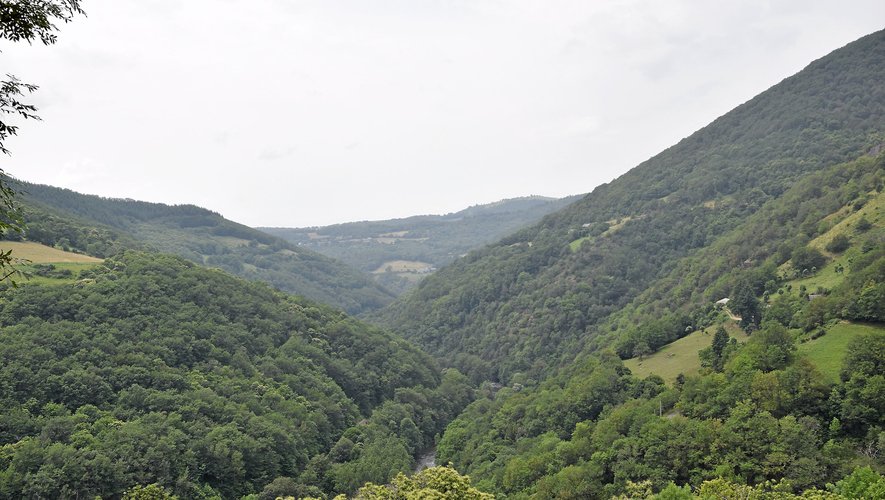 Le risque de feu dans les forêts de l'Aveyron est d'un niveau "élevé" pour la journée de ce  jeudi.